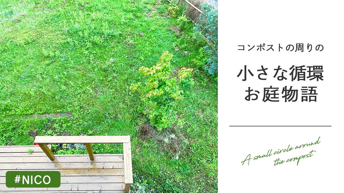 庭のアイキャッチ